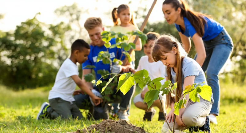 Programa de Educação Ambiental (PEA)