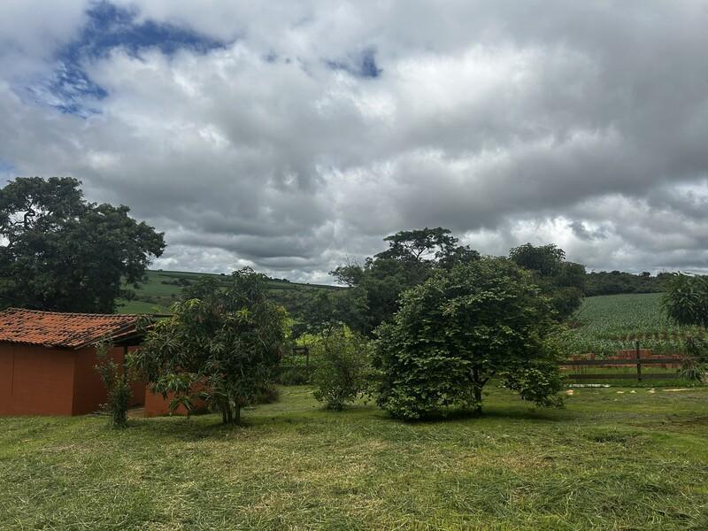 Flora Ameaçada: Entenda as Regras para Supressão e Compensação Ambiental